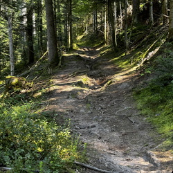 Dernières photos